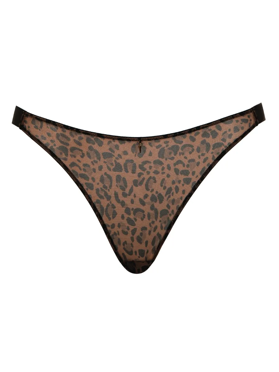 Cool Cat Tanga